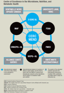 CERC network diagram